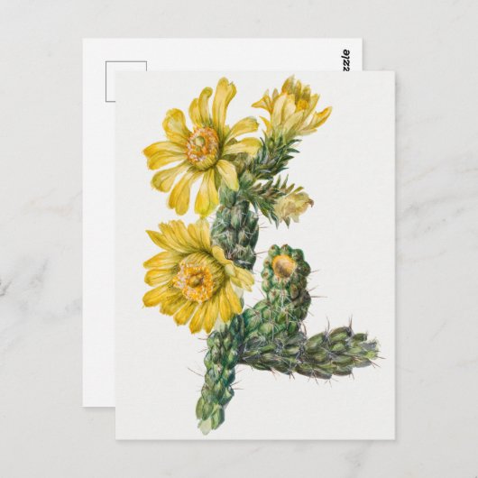 botanische illustratie briefkaart (Voorkant / Achterkant)