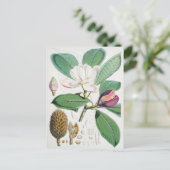  botanische illustratie briefkaart (Staand voorkant)