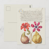 botanische illustratie briefkaart (Voorkant / Achterkant)