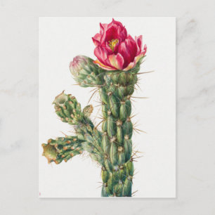botanische illustratie briefkaart