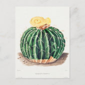  botanische illustratie briefkaart (Voorkant)