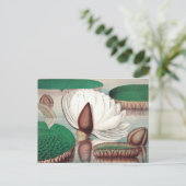  botanische illustratie briefkaart (Staand voorkant)