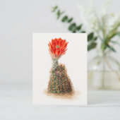  botanische illustratie briefkaart (Staand voorkant)