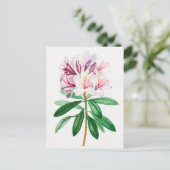  botanische illustratie briefkaart (Staand voorkant)