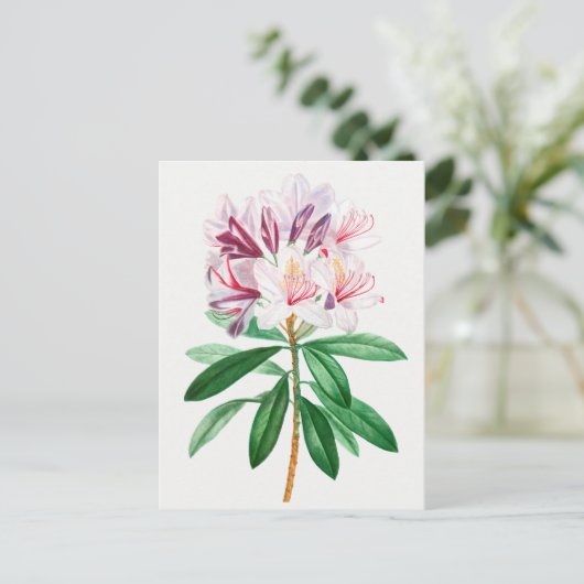 botanische illustratie briefkaart (Staand voorkant)