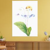  botanische illustratie canvas afdruk (Insitu (Woonkamer))