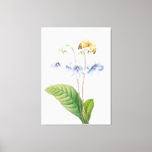  botanische illustratie canvas afdruk