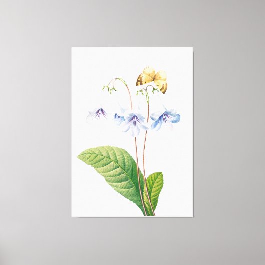  botanische illustratie canvas afdruk (Voorkant)