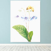  botanische illustratie canvas afdruk (Insitu (Houten vloer))