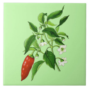 botanische illustratie, Chili Pepper Tegeltje