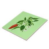 botanische illustratie, Chili Pepper Tegeltje (Zijkant)