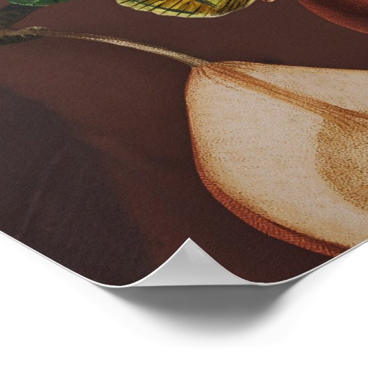 Botanische illustratie Collage Goddess Venus Poster (Hoek)