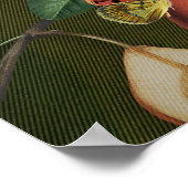 Botanische illustratie Collage Venus Poster (Hoek)