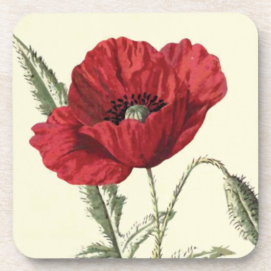 Botanische illustratie "Common Poppy" Bier Onderzetter (Voorkant)
