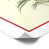 Botanische illustratie "Common Poppy" Poster (Hoek)