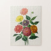 botanische illustratie Dahlias 250 stuks Legpuzzel (Verticaal)
