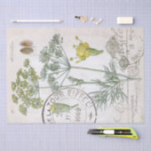 Botanische illustratie Dill French Postmark Craft Tissuepapier (Craft)