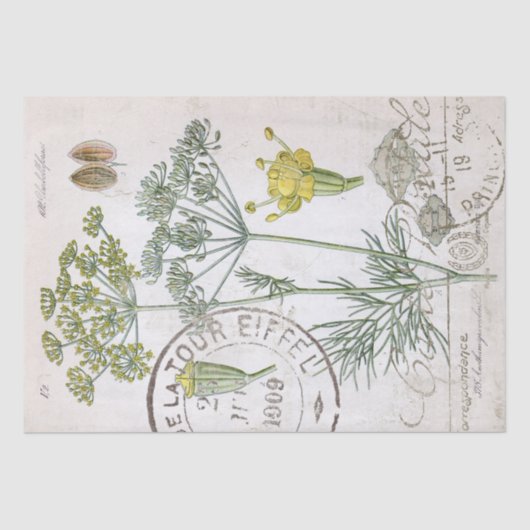 Botanische illustratie Dill French Postmark Craft Tissuepapier (Voorkant)
