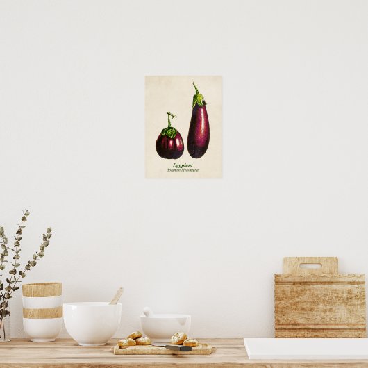  botanische illustratie, eierplanten poster (Keuken)