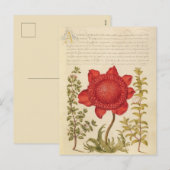  botanische illustratie feestdagenkaart (Voorkant / Achterkant)