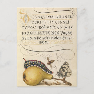  botanische illustratie feestdagenkaart