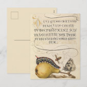  botanische illustratie feestdagenkaart (Voorkant / Achterkant)