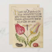  botanische illustratie feestdagenkaart (Voorkant / Achterkant)