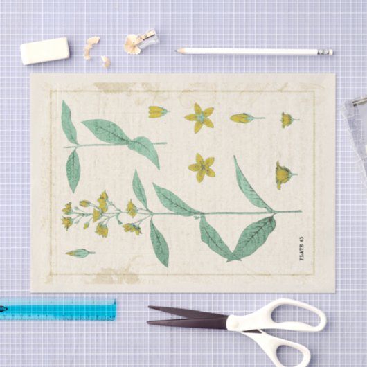 botanische illustratie Gele wilde bloem Tissuepapier (Craft)
