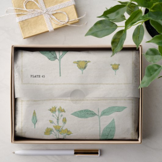  botanische illustratie Gele wilde bloem Tissuepapier (Geschenk)