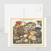  botanische illustratie giftige paddenstoelen briefkaart (Voorkant / Achterkant)
