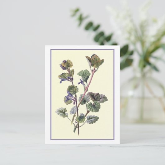 Botanische illustratie "Grond Ivy" Briefkaart (Staand voorkant)