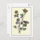 Botanische illustratie "Grond Ivy" Briefkaart (Voorkant / Achterkant)