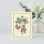 Botanische illustratie "Herb Robert" Briefkaart (Staand voorkant)