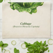  botanische illustratie, kool theedoek (Gevouwen)