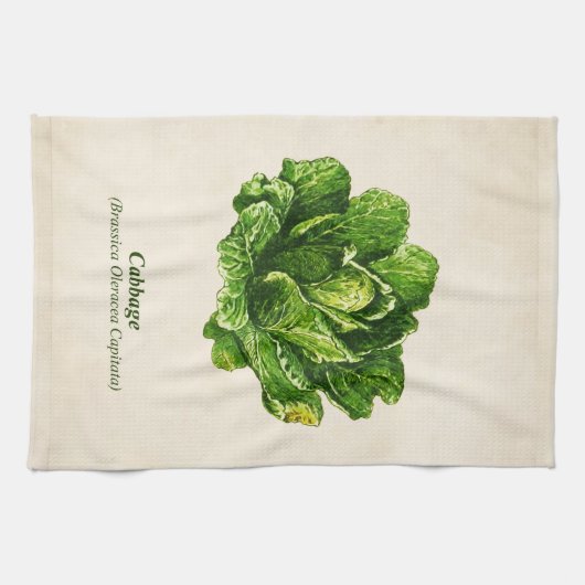  botanische illustratie, kool theedoek (Horizontaal)