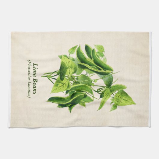 botanische illustratie, Lima Bean Vine Ki Theedoek (Horizontaal)