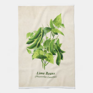  botanische illustratie, Lima Bean Vine Ki Theedoek