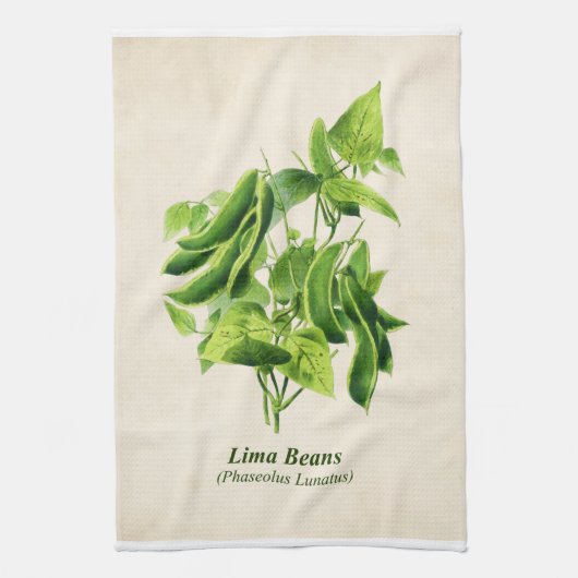  botanische illustratie, Lima Bean Vine Ki Theedoek (Verticaal)