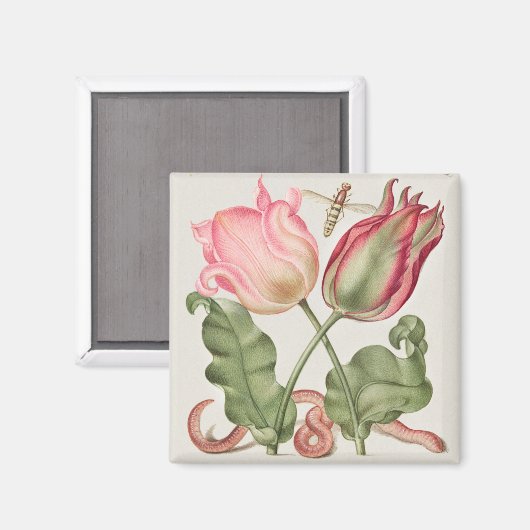  botanische illustratie magneet (Voorkant / Achterkant)