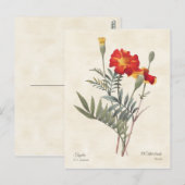  Botanische illustratie Mariggets Briefkaart (Voorkant / Achterkant)