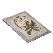 Botanische illustratie Notitieboek - Dandelion (Rechterzijde)