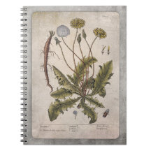 Botanische illustratie Notitieboek - Dandelion