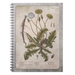 Botanische illustratie Notitieboek - Dandelion