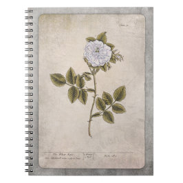 Botanische illustratie Notitieboek - White Rose
