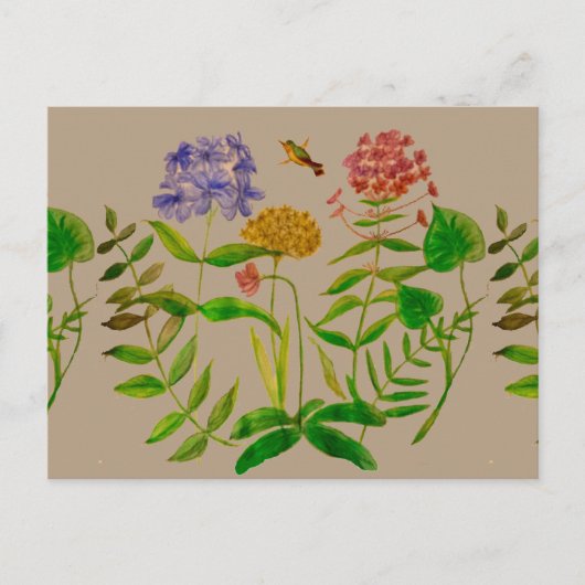 Botanische illustratie op Briefkaart (Voorkant)