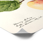  botanische illustratie poster (Hoek)