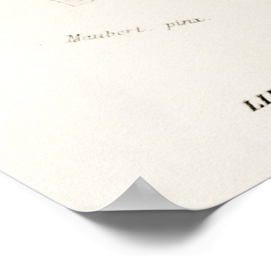  botanische illustratie poster (Hoek)