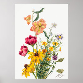 botanische illustratie poster