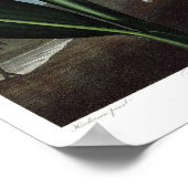  botanische illustratie poster (Hoek)