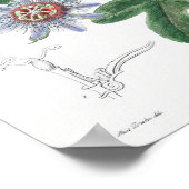  botanische illustratie poster (Hoek)